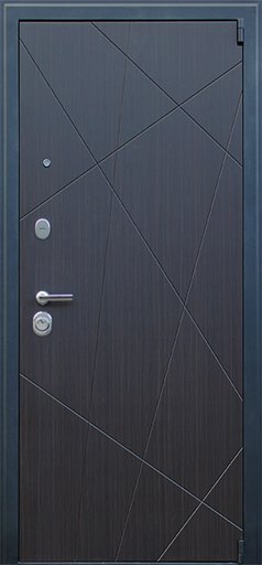 Товар Дверь Вектор с зеркалом DIS002726